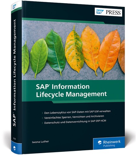 Sap information lifecycle - sap,